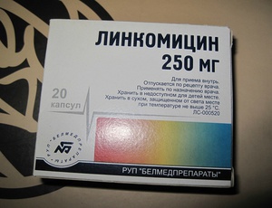 Οδηγίες χρήσης Lincomycin για τη θεραπεία της περιοδοντικής νόσου