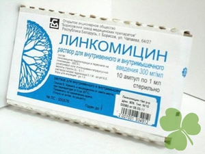 Τι βοηθά το Lincomycin: οδηγίες χρήσης