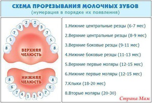 Όροι θηλασμού δόντια γάλακτος