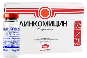 Λινκομυκίνη και οι ιδιότητές της